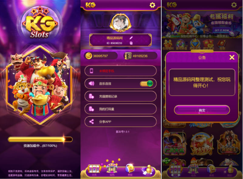 【站长亲测】PG紫色UI/三端完整/控制系统/视频教程-精品源码网