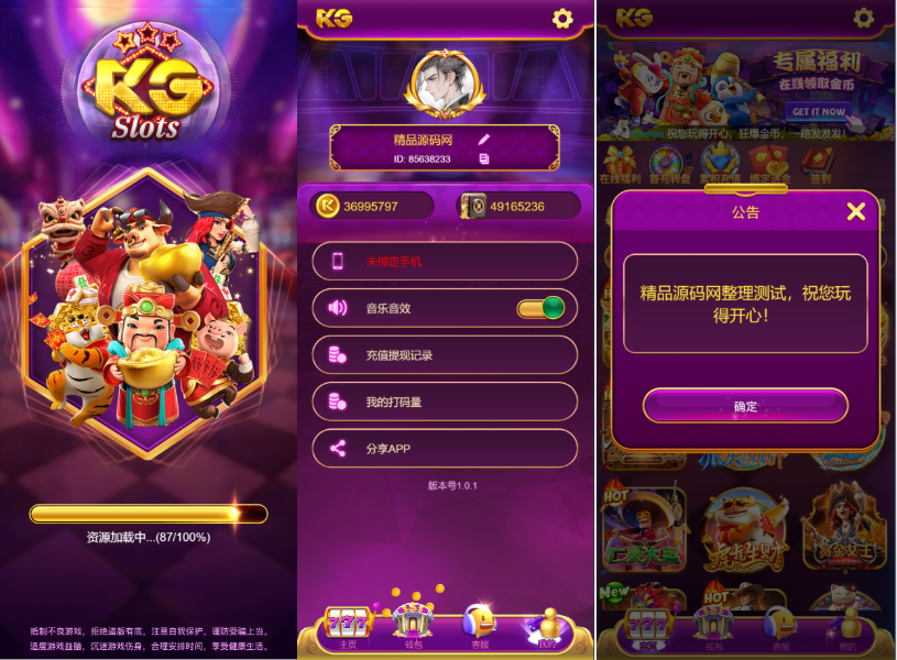 【站长亲测】PG紫色UI/三端完整/控制系统/视频教程-精品源码网